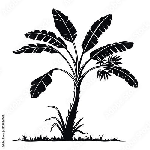 Banana Tree Vector Illustration – Tropical Plant Silhouette Clip Art for Nature and Agriculture Designs