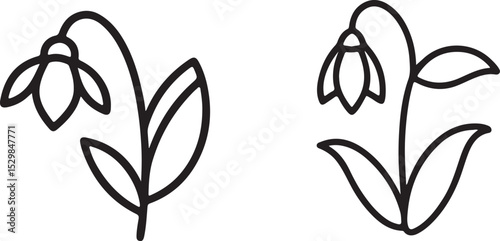 vector illustration of a flower