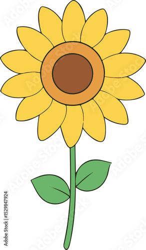 sunflower vector illustration