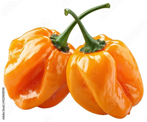 Two Ripe Orange Scotch Bonnet Peppers Isolated Black Background High Resolution Vibrant Spicy Food Ingredient Culinary Photography Fresh Healthy Vegetable diet life color plant     photo