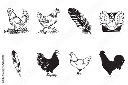 Simple Line Drawings of Chickens and Chicken Parts