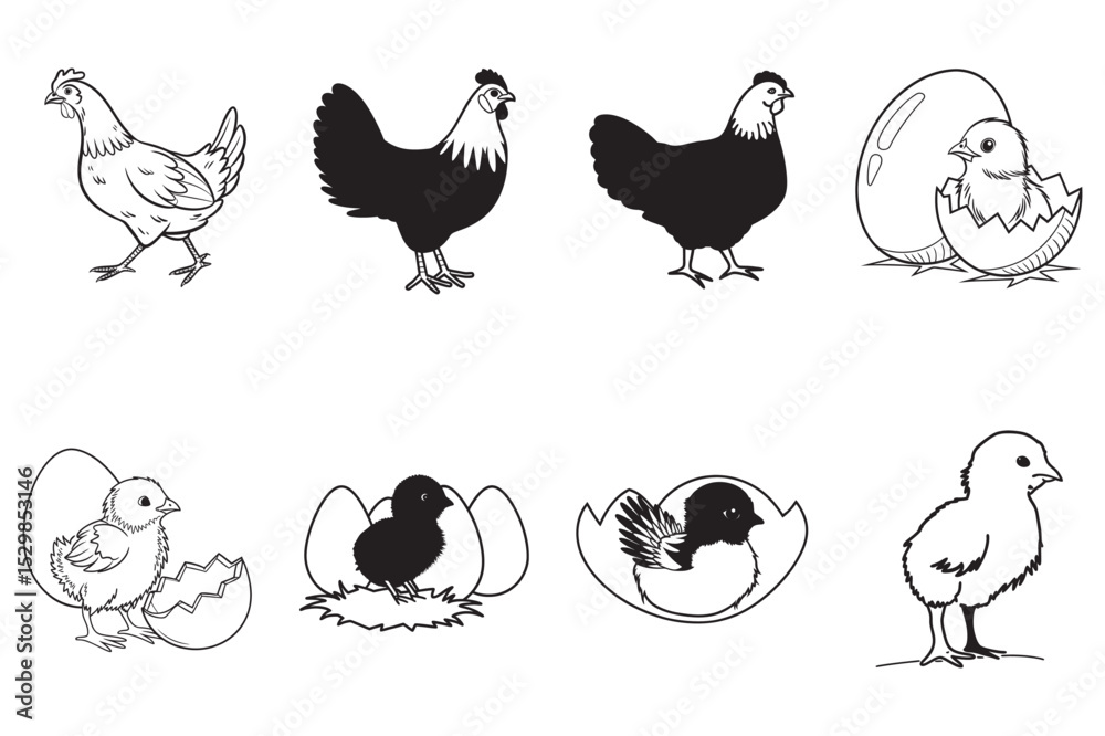 Obraz premium Simple Line Drawings of Chickens and Chicken Parts