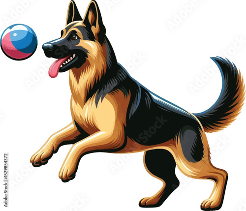A German Shepherd dog vector illustration