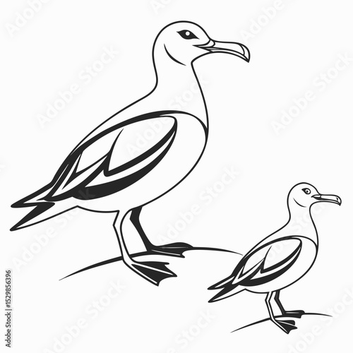 Adult and baby seagull line art illustration