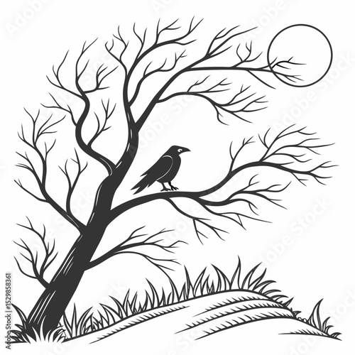 Lone raven on bare branch moonlit night