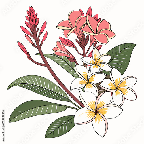 Tropical plumeria and exotic flowers bouquet illustration