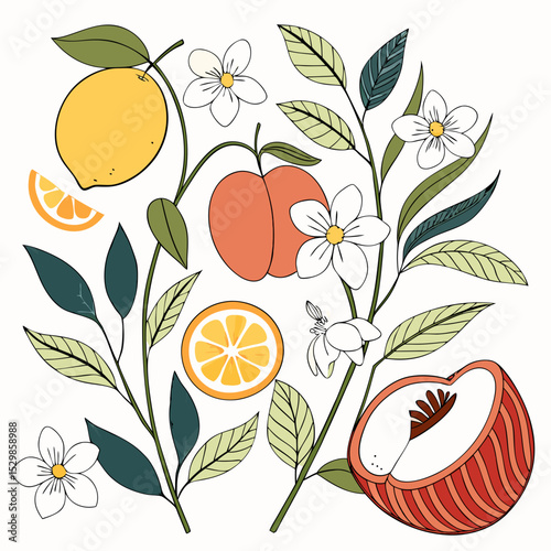 Floral fruit design lemons oranges peaches blossoms