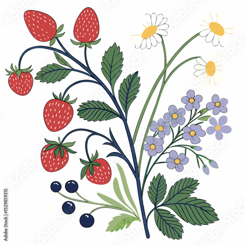 Summer berries flowers botanical illustration