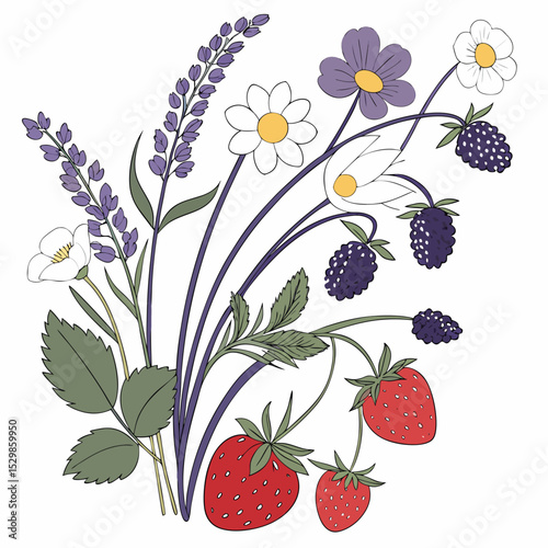 Summer berries flowers lavender bouquet illustration