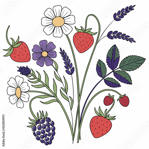 Summer berries flowers bouquet illustration design