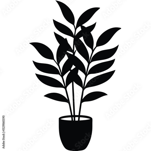zz-plant-white-background-.eps