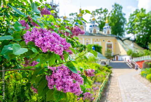 Blooming lilacs against the background of the domes of the Pechora Holy Dormition Pskovo-Pechersky Monastery. Pskov region, religion Christianity history photo
