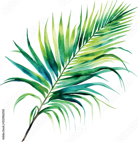 Watercolor palm leaf vector. Tropical foliage in soft green tones with artistic texture.