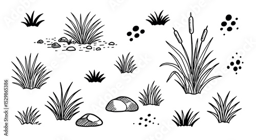 Black and white hand-drawn grass and plant illustrations on white background vector illustration