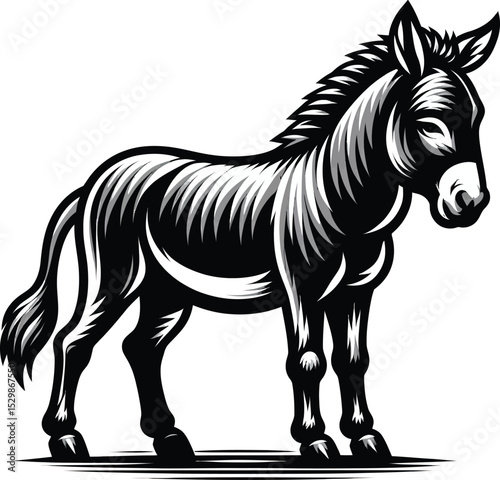 a vector illustration Donkey