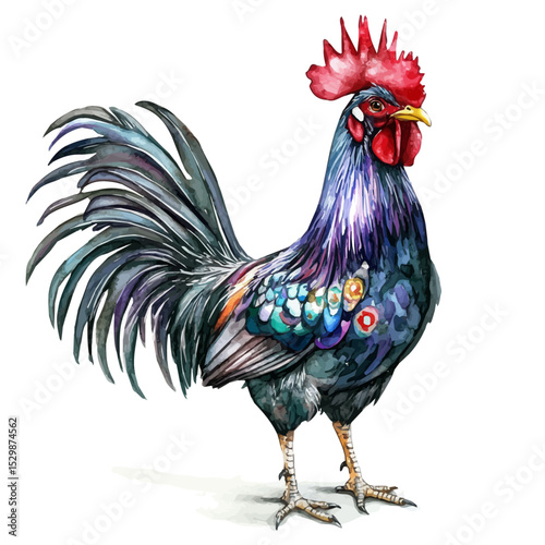 watercolor vector of Hen, isolated on a white background.
