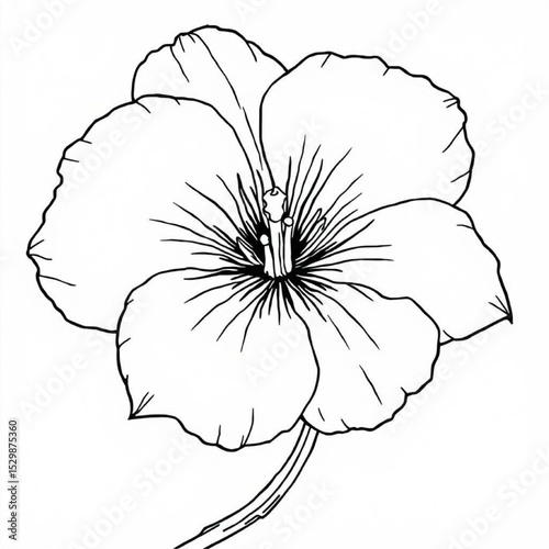 Simple Outline Drawing of a Blossom