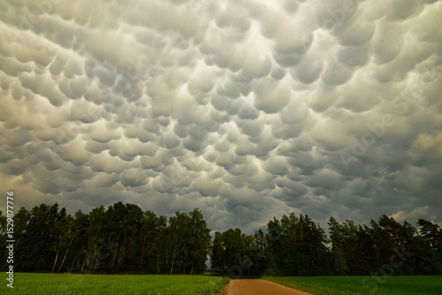 Big storm cloud over the fields mammatus clouds