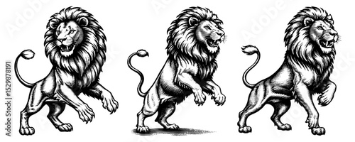 Lions in powerful heraldic poses in a vintage woodcut style.