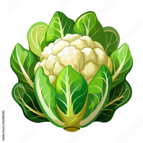 Discover the delicious cauliflower vegetable a healthy food with green leaves and white head delight