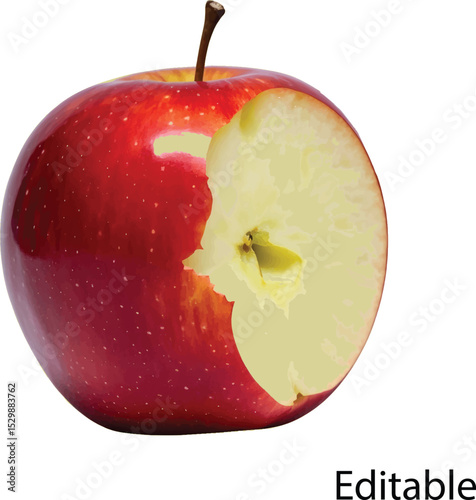 A single bitten red apple vector graphic
