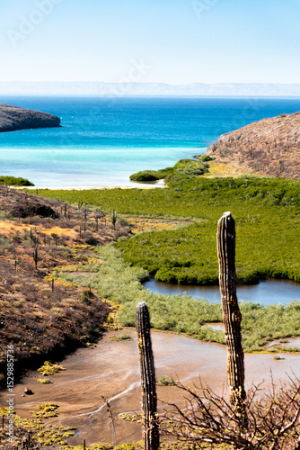 Foto Seascape baja california