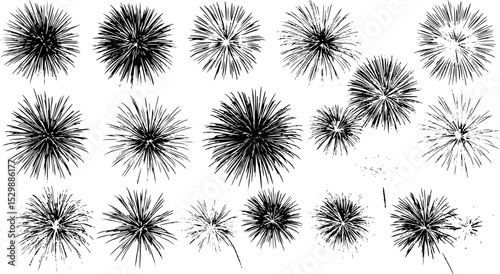 Abstract colored firework new year festival night sky background.
