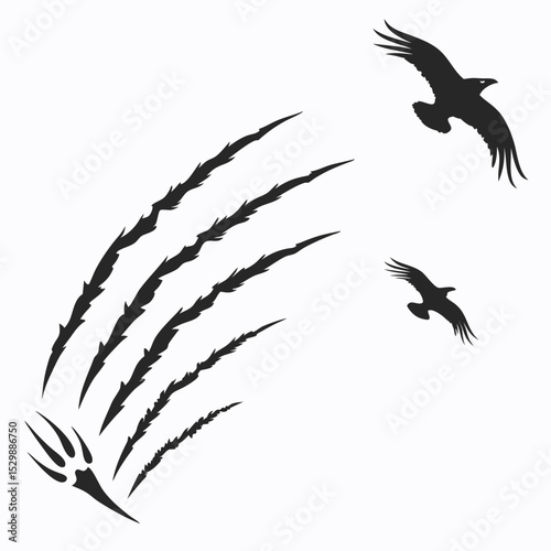 Claw Marks and Birds Silhouette Design
