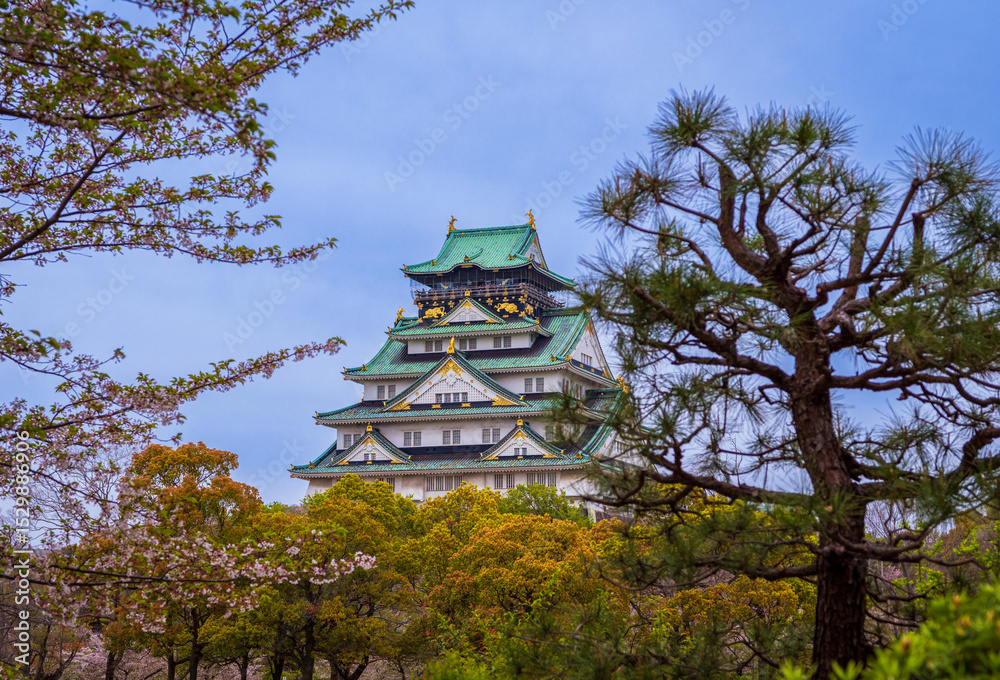 Fototapeta premium Osaka Castle with the beautiful lake surrounding it during Spring and the cherry blossoms , Osaka, Japan, South East Asia.