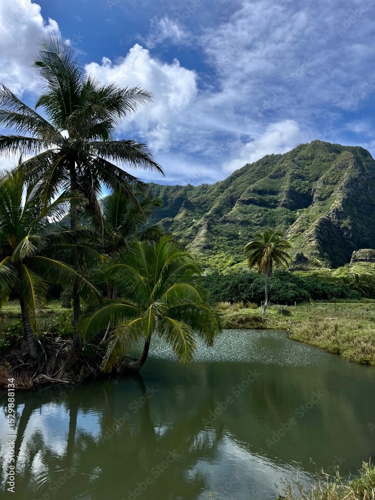 Obraz premium The impressive and aesthetic landscape and views from Kualoa Ranch of the blue ocean and greenery on the island of O'ahu, Hawai'i, USA, in summer.