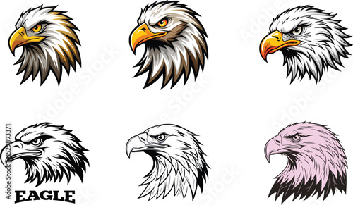 Majestic Eagle Head Illustrations Vector Design