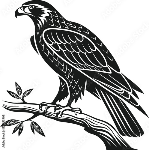 Hawk Perched on Branch: Detailed Black and White Illustration