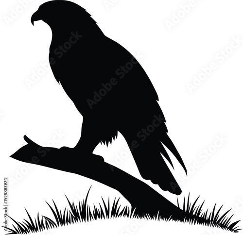Black Silhouette of a Hawk Perched on a Branch