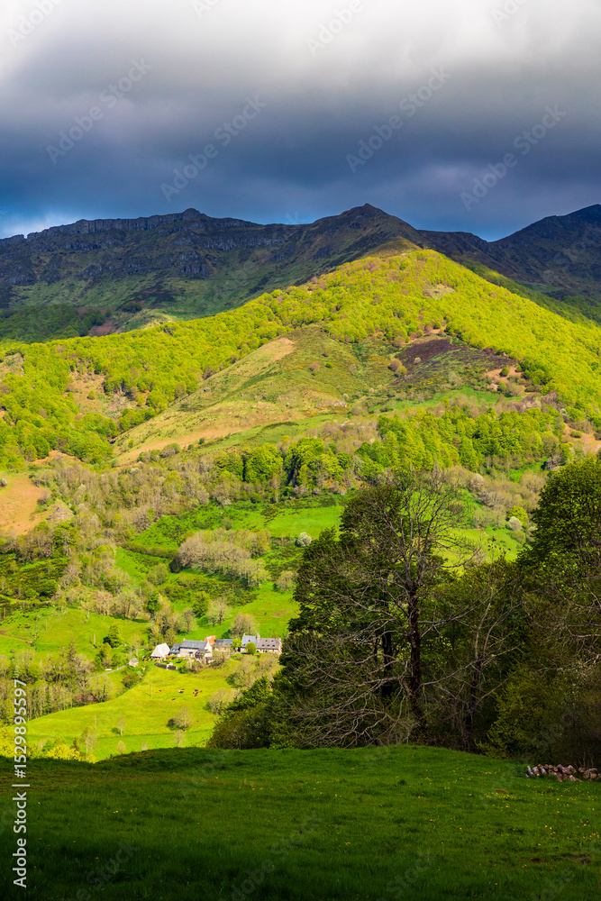 Obraz premium Panorama of the Cantal mountains around the Jordanne Valley from a hiking trail through the forest of Mandailles-Saint-Julien