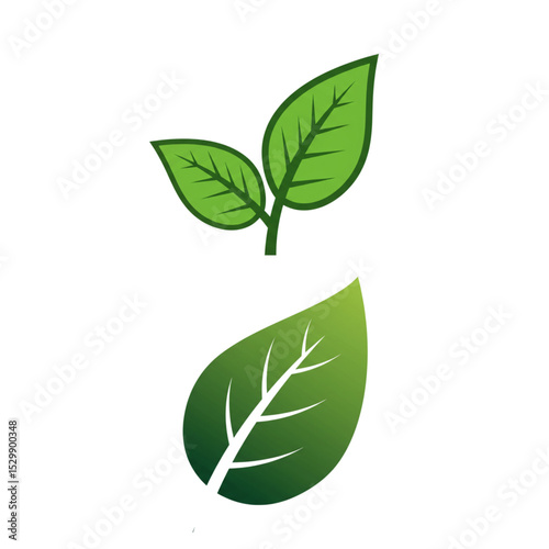 Elegant Green Leaf Design Perfect for Nature Logos Branding and Eco Friendly Projects
