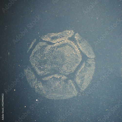 imprint of a soccer ball made by dirt on a dark window caused by a failed shot