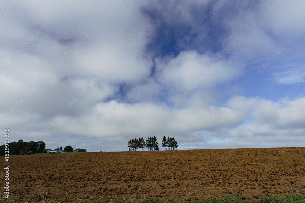 Fototapeta premium Fields and forests after harvest