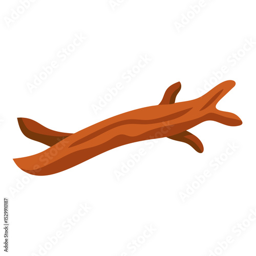 fish on a white background