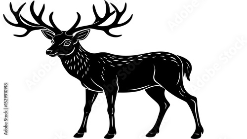 Black and white deer vector illustration with antlers wildlife forest animal isolated graphic design art photo