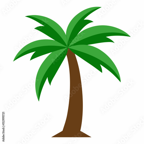 palm tree vector illustration