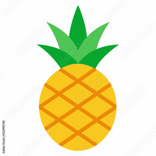 vector illustration of pineapple