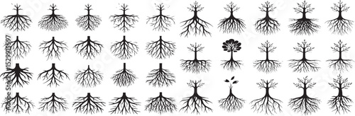 stylized black silhouettes of various tree roots, showcasing different shapes and sizes. Some roots appear more intricate with branching structures,