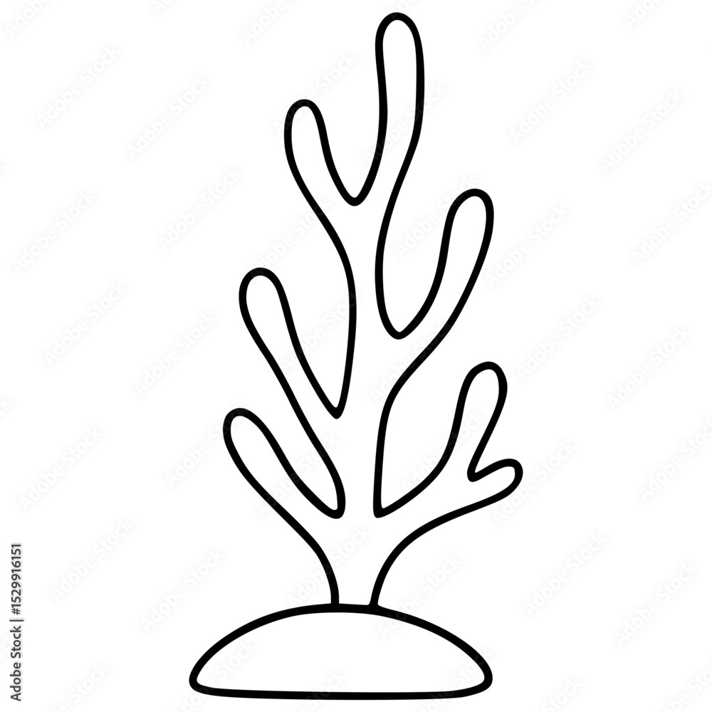 Obraz premium Coral Reefs