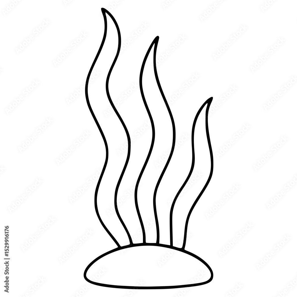 Obraz premium Seaweed