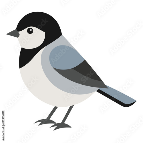 vector illustration of a chickadee bird