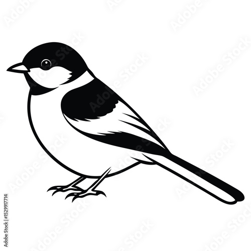 vector illustration of a chickadee bird
