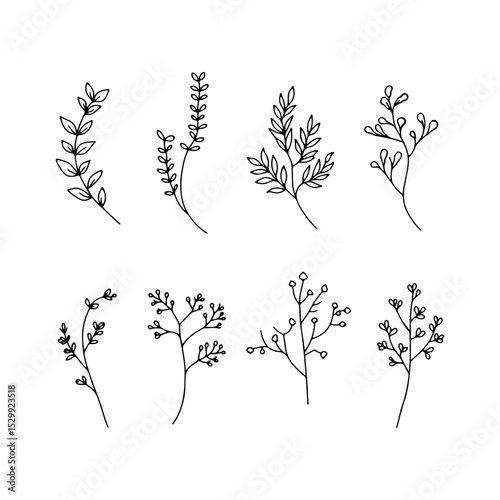 Thin Stem Flowers. Minimal flower illustrations with thin stems and delicate shapes, ideal for elegant eco-themed or minimalist projects.