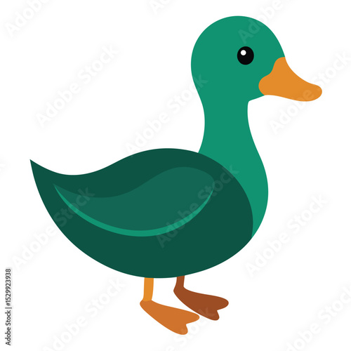 duck on a white background