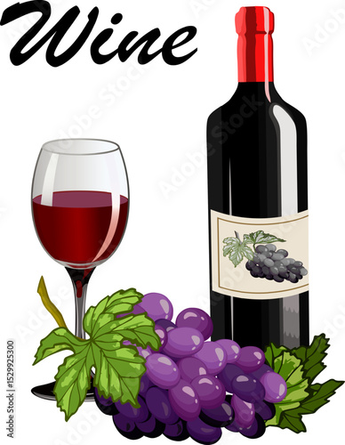 Banner with grapes and wine.Illustration with grapes and wine in a glass and bottle on a transparent background with text.
