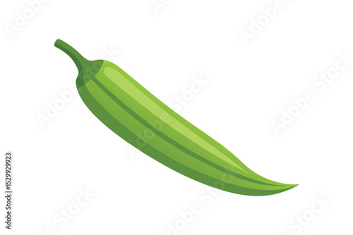 Fresh Okra Isolated on White Background 
